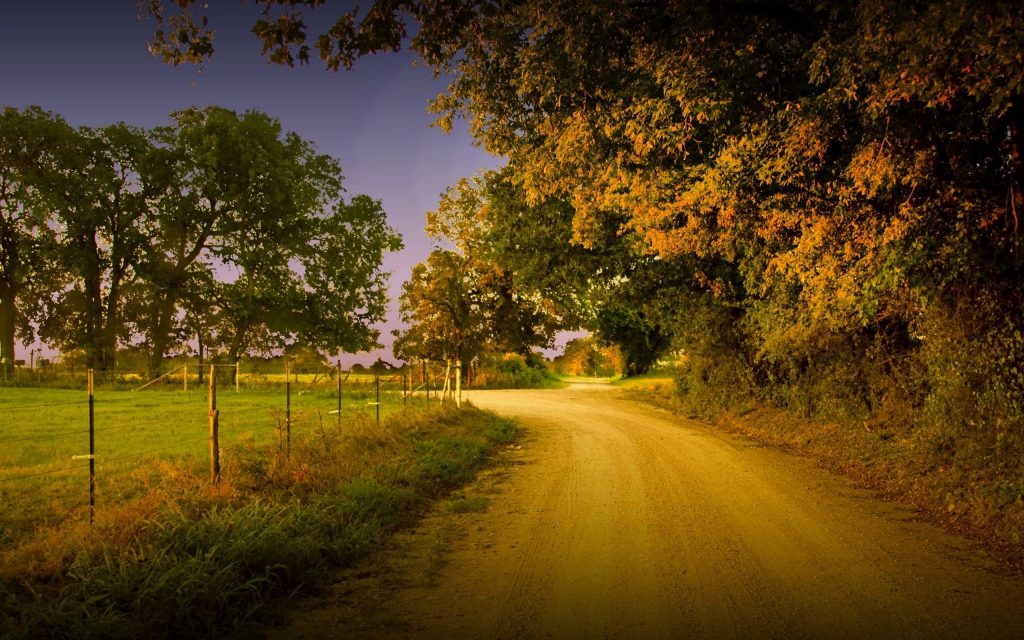 agriculture-10-1024×640-1.jpg