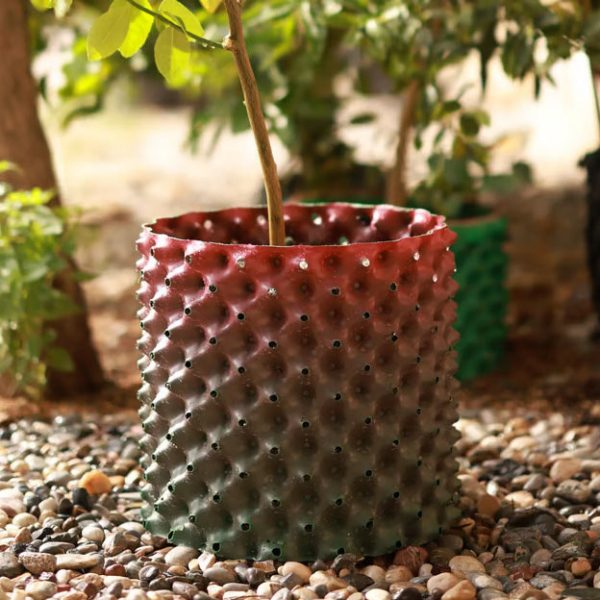 Akıllı Saksı 48 Litre - Görsel 2