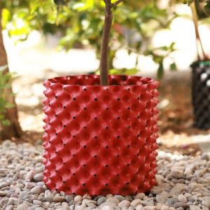 Akıllı Saksı 4 Litre